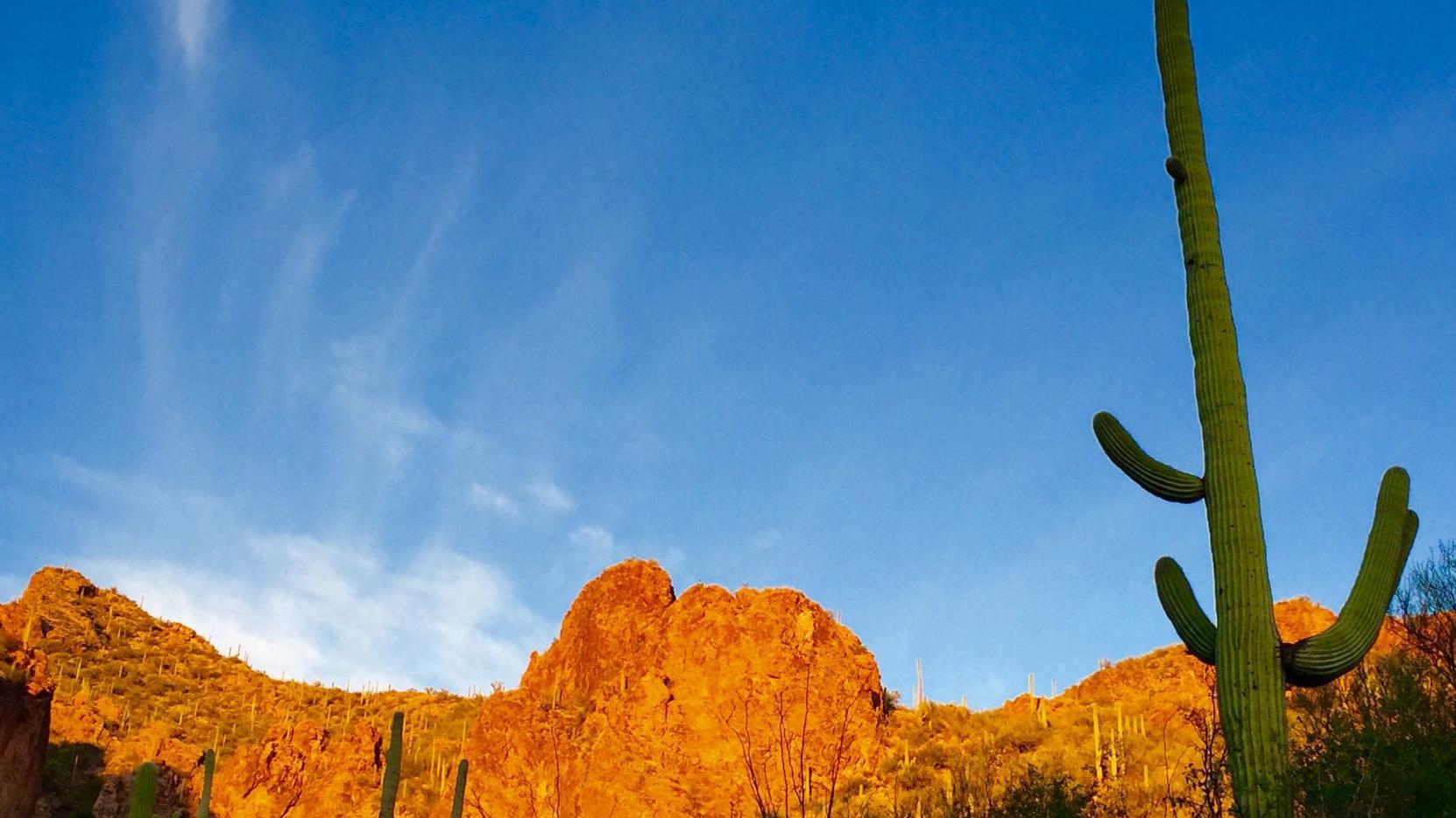 Scenic wonders reward a short hike on the Ventana Canyon Trail